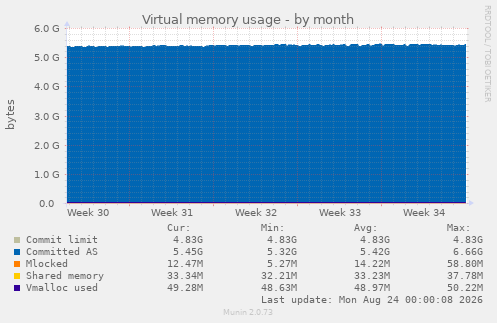 Virtual memory usage